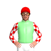 Jockey Silk