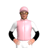 Jockey Silk