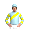 Jockey Silk
