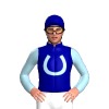 Jockey Silk