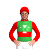 Jockey Silk