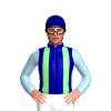 Jockey Silk
