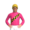Jockey Silk