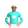 Jockey Silk
