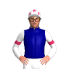 Jockey Silk