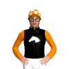 Jockey Silk