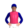 Jockey Silk