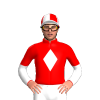 Jockey Silk