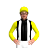 Jockey Silk