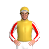 Jockey Silk