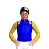 Jockey Silk