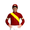 Jockey Silk
