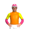 Jockey Silk
