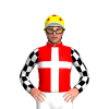 Jockey Silk