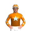 Jockey Silk