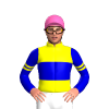 Jockey Silk