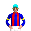 Jockey Silk