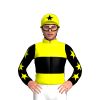 Jockey Silk