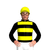 Jockey Silk