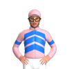 Jockey Silk