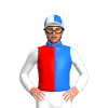 Jockey Silk