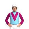 Jockey Silk