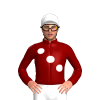 Jockey Silk