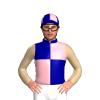 Jockey Silk