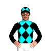 Jockey Silk