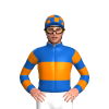 Jockey Silk