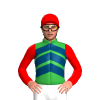 Jockey Silk
