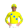 Jockey Silk
