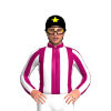 Jockey Silk