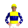 Jockey Silk