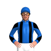 Jockey Silk