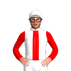 Jockey Silk