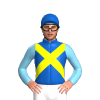 Jockey Silk