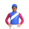 Jockey Silk