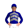 Jockey Silk