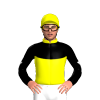 Jockey Silk