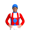 Jockey Silk