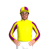 Jockey Silk