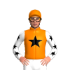 Jockey Silk