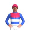 Jockey Silk