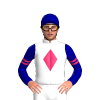 Jockey Silk