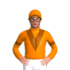 Jockey Silk