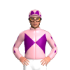 Jockey Silk