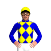 Jockey Silk