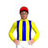 Jockey Silk