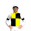 Jockey Silk